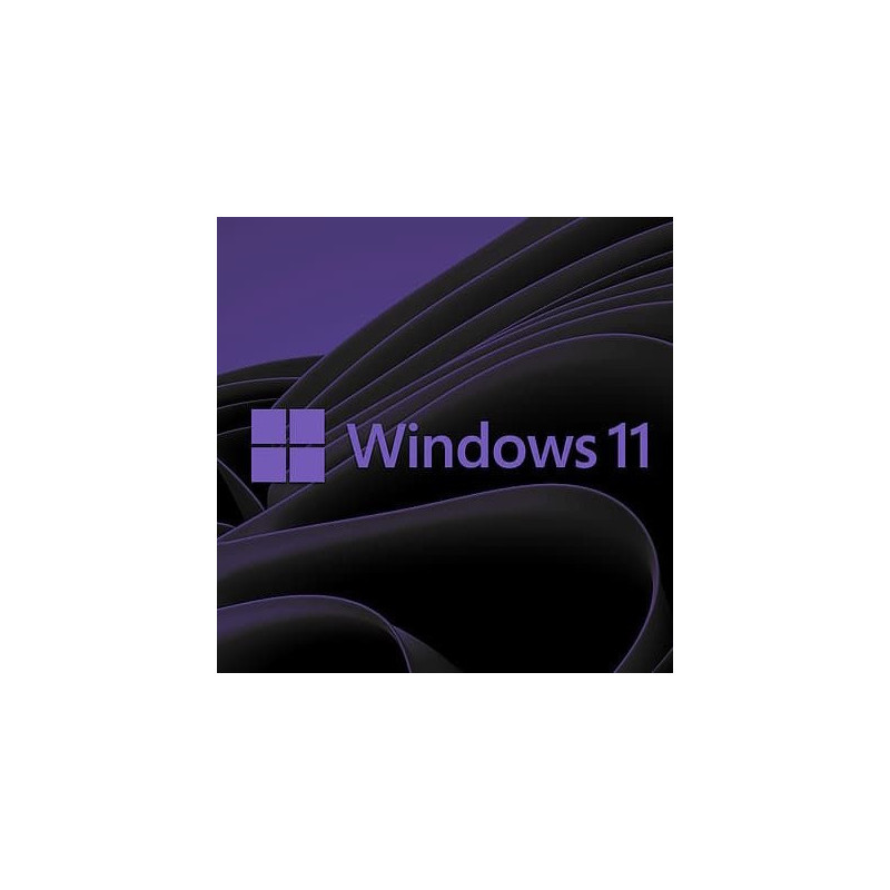 Buy Microsoft Windows 11 Pro USB - Permanent Retail License