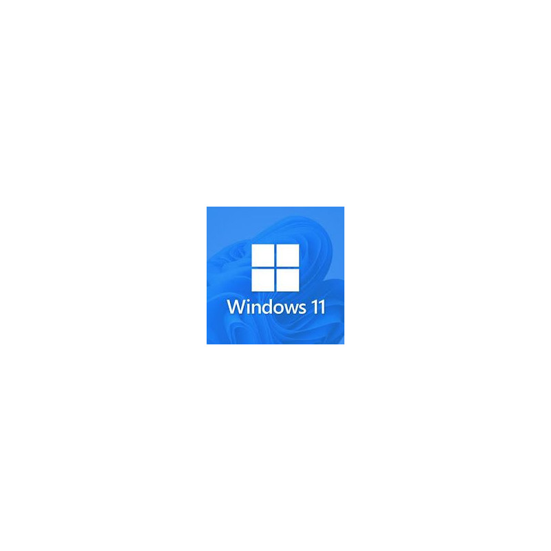 Buy Microsoft Windows 11 Pro USB - Permanent Retail License
