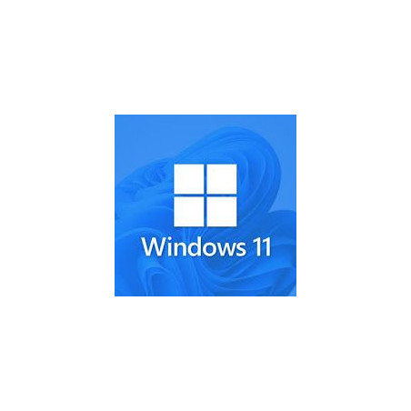 Buy Microsoft Windows 11 Pro USB - Permanent Retail License