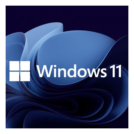 Buy Microsoft Windows 11 Pro USB - Retail Version with Permanent License