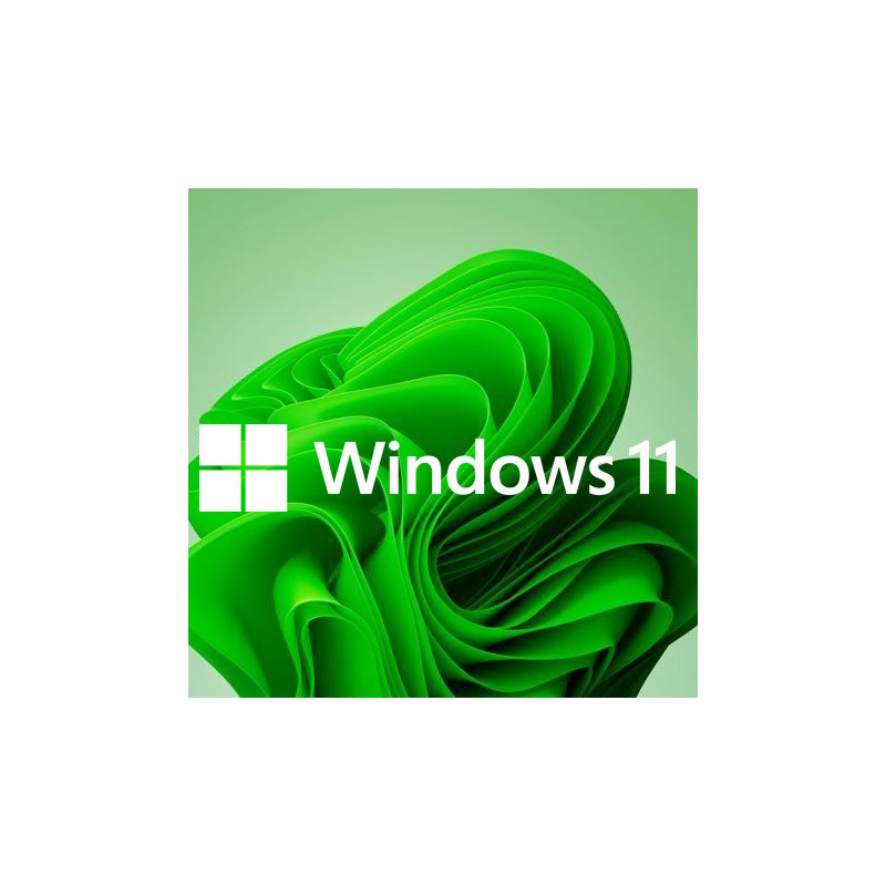 Buy Microsoft Windows 11 Pro USB - Retail Version with Permanent License