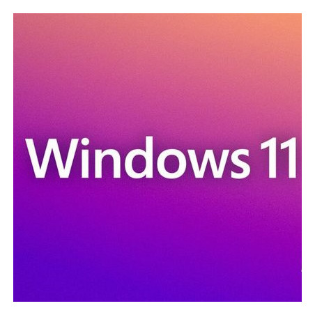 Buy Microsoft Windows 11 Pro USB - Retail License | Permanent Activation
