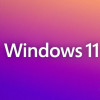 Buy Microsoft Windows 11 Pro USB - Retail License | Permanent Activation