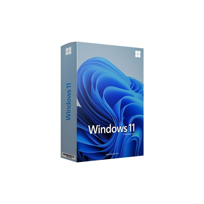 Buy Microsoft Windows 11 Pro USB - Retail Version with Permanent License