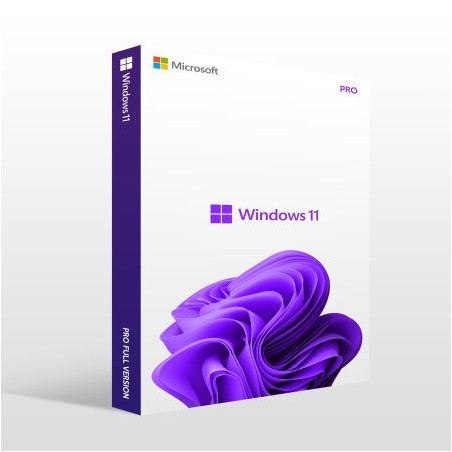 Buy Microsoft Windows 11 Pro USB - Retail Version with Permanent License