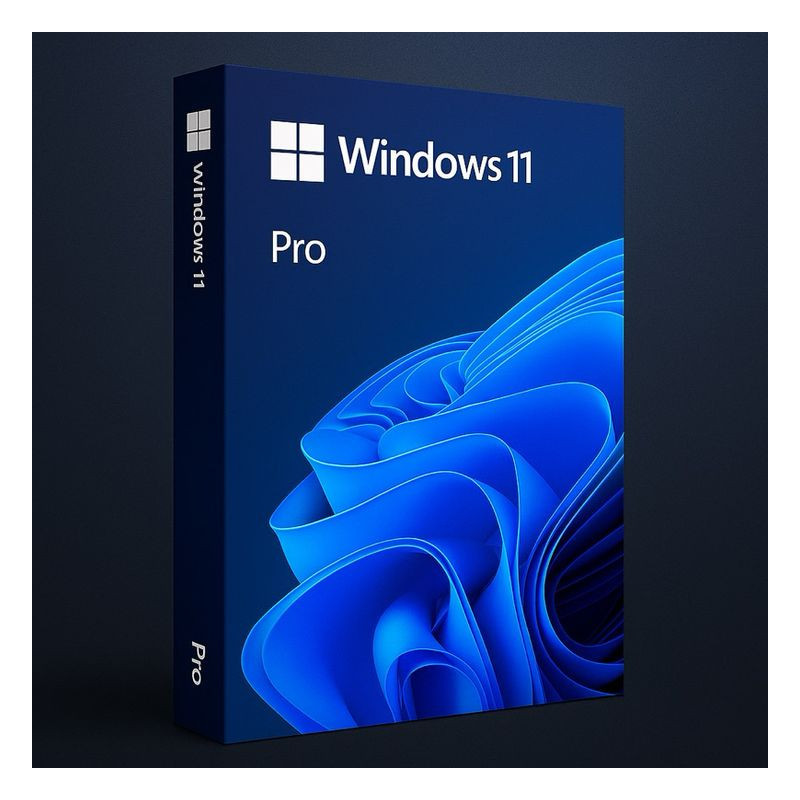 Buy Microsoft Windows 11 Pro USB - Retail Version with Permanent License