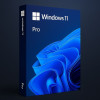 Buy Microsoft Windows 11 Pro USB - Retail Version with Permanent License