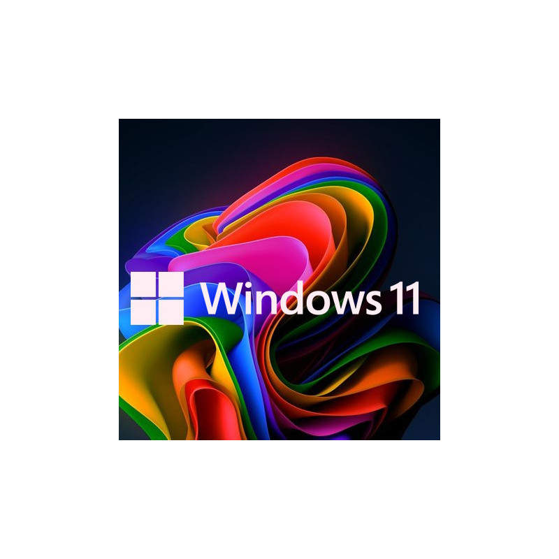 Buy Microsoft Windows 11 Pro USB - Retail License | Permanent Activation