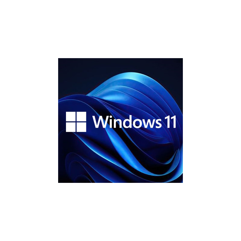 Buy Microsoft Windows 11 Pro USB - Retail Version with Permanent License
