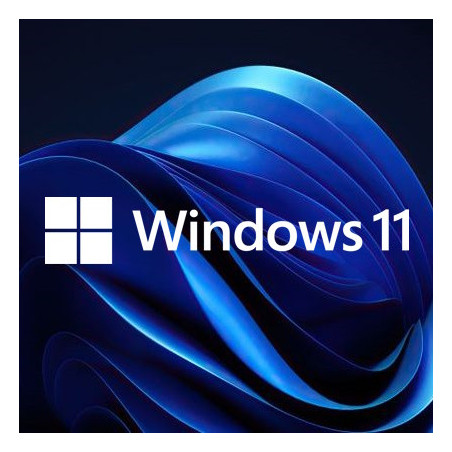 Buy Microsoft Windows 11 Pro USB - Retail Version with Permanent License