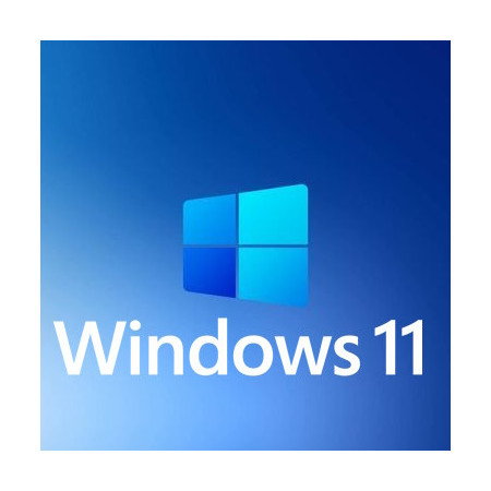 Buy Microsoft Windows 11 Pro USB - Retail Version with Permanent License